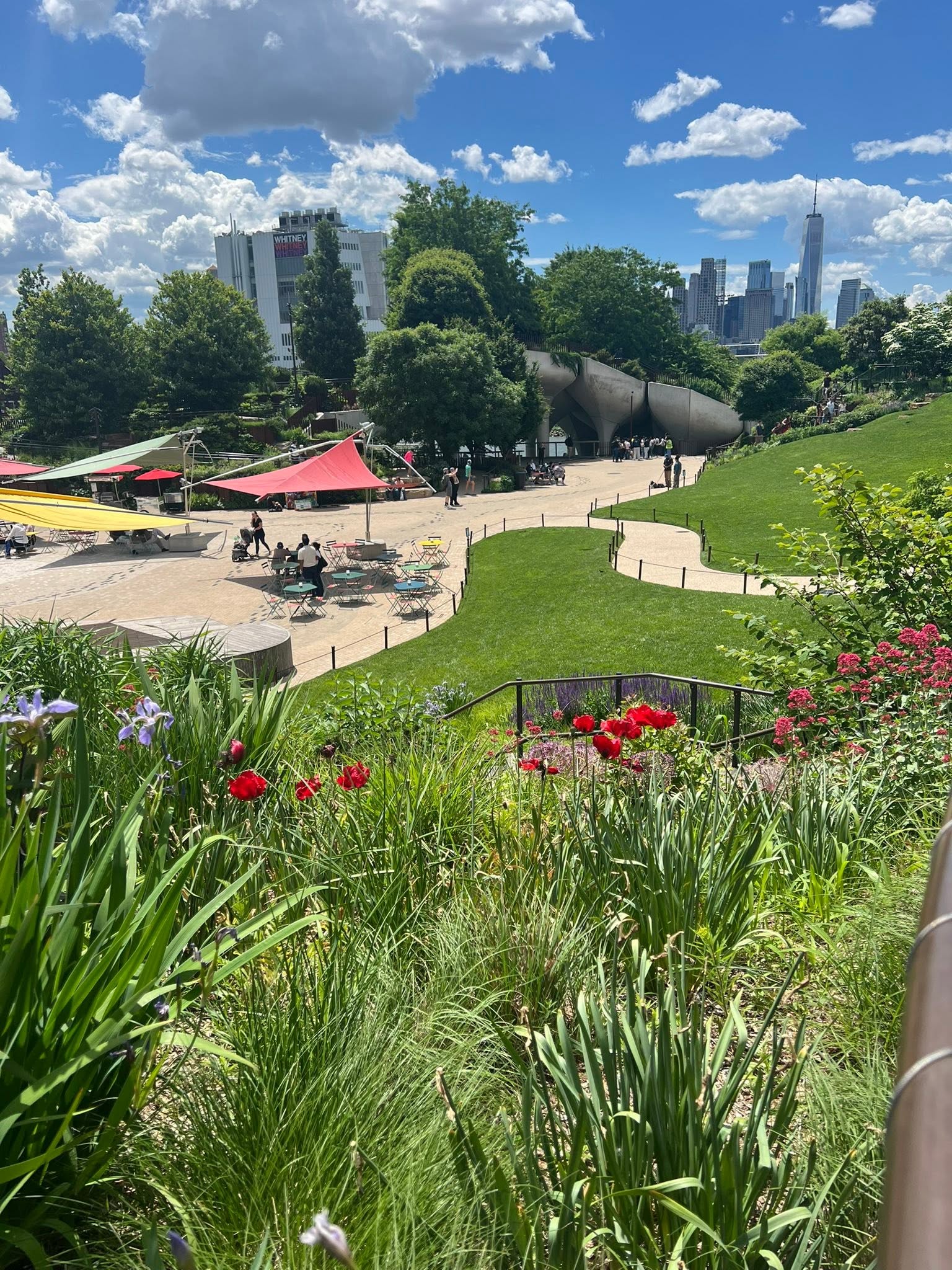 May be an image of skyscraper, Buckingham Fountain and grass